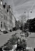 entrpot-dok - amsterdam
